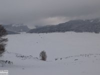 2018-01-13 M. Orsello 053